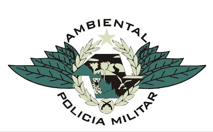 Pol Cia Militar Ambiental De Sp Iniciou Opera O Gaia Em Alus O