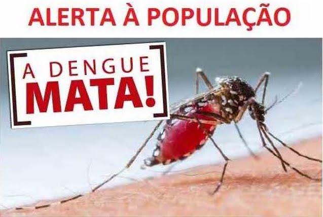 Pesquisas Apontam Que 80 Dos Focos De Dengue Estão Dentro Das Residências Evite água Parada