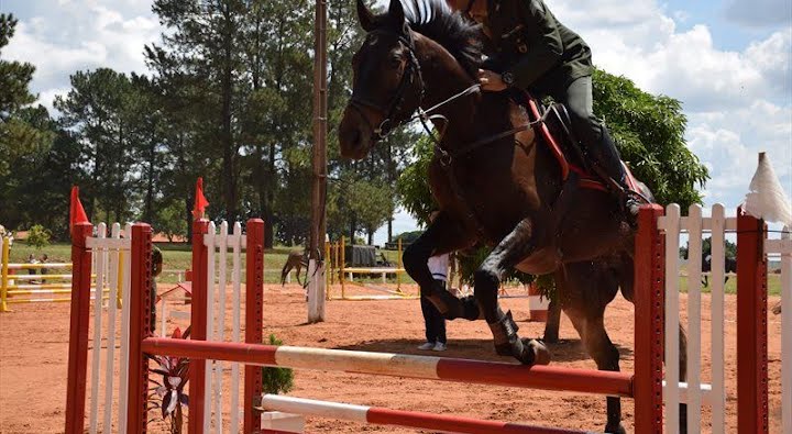 18º Concurso Completo de Equitação - Campeonato Internacional Forte Anhanguera - Salto