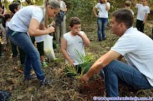 Plantio de mudas de árvores pelos alunos do Colégio Cooperativo no Bosque do Rotary
