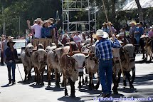 Semana Nenete: procissão reúne milhares de pessoas; show de encerramento terá Chitãozinho e Xororó