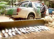 Polícia Militar Ambiental de Pirassununga apreende redes, barco, motor, peixes e petrechos de pesca
