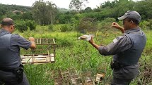 Polícia Ambiental de Pirassununga realiza Operação Piracema 2 com várias apreensões