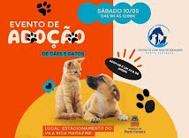 Zoonoses de Porto Ferreira promove neste sábado mais um "adoção responsável de cães e gatos" 