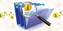 A importância da Lei de Acesso a Informação para a transparência da Gestão Pública Municipal