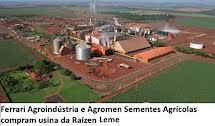 Gigantes do Agro Paulista unem forças e adquirem Usina da Raízen Leme 