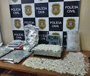 Policiais Civis de Porto Ferreira localizam e apreendem grande quantidade de drogas