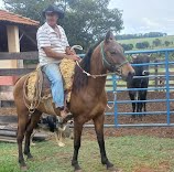 José Luiz Fardin