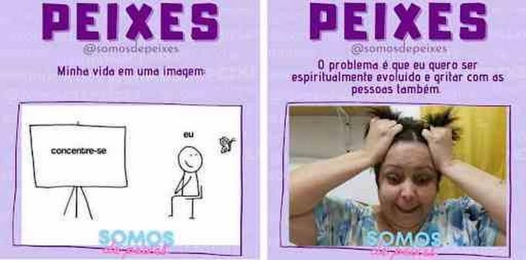 Memes Engraçados: A Terapia do Bom Humor